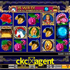 Seasonal Promotions ckc-agent